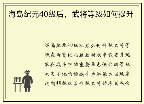 海岛纪元40级后，武将等级如何提升
